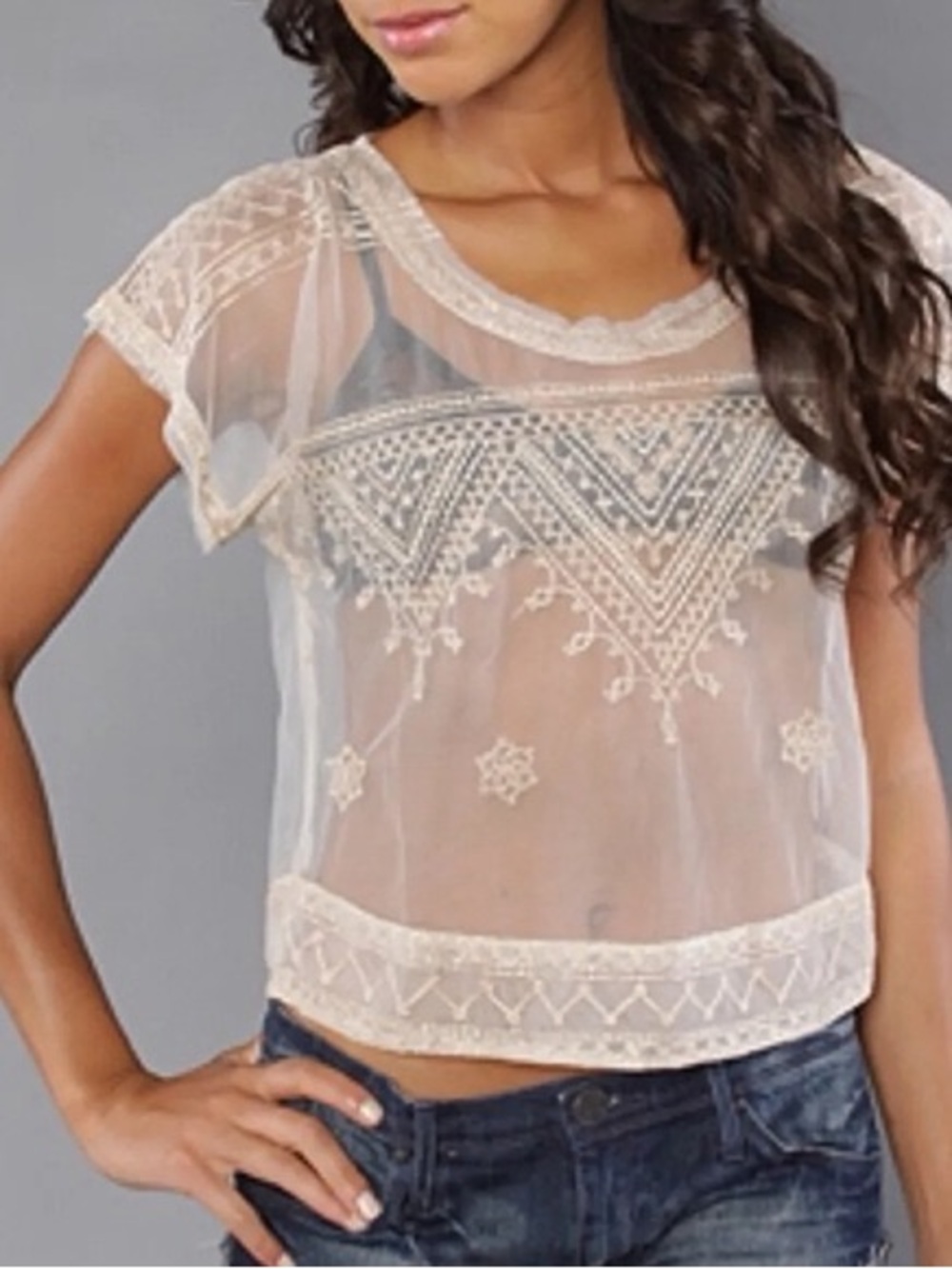 Free People Sheer Embroidered Short Sleeve Top in Ivory